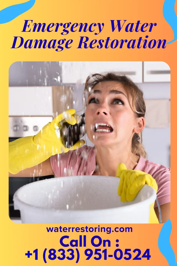 Emergency Water Damage Restoration in Parryville, PA